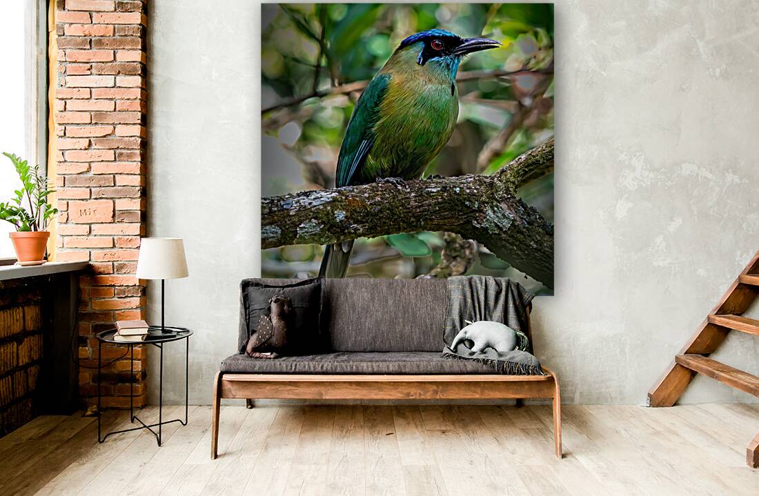 Jungle Jewel Reproduction