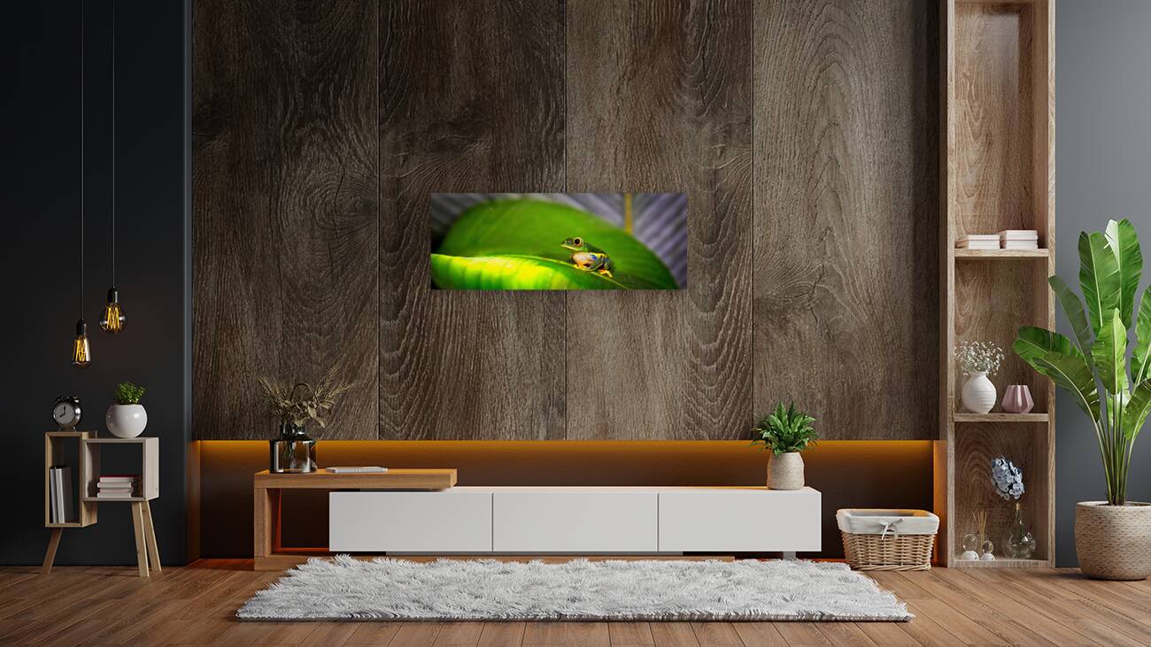 Frog on Leaf Reproduction