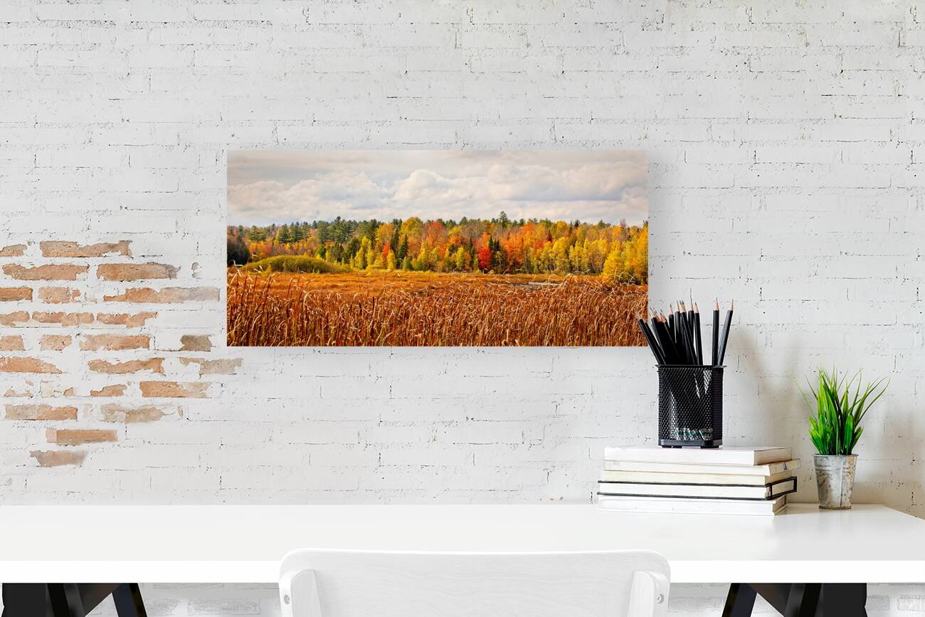 Autumn Forest Under a Starry Sky Reproduction