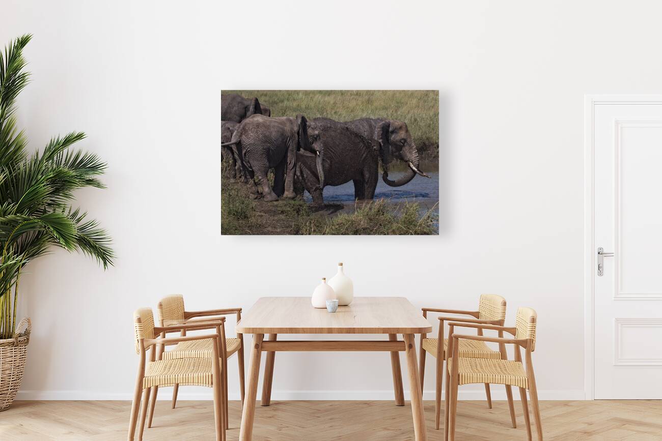 Mud Bath Joy Reproduction