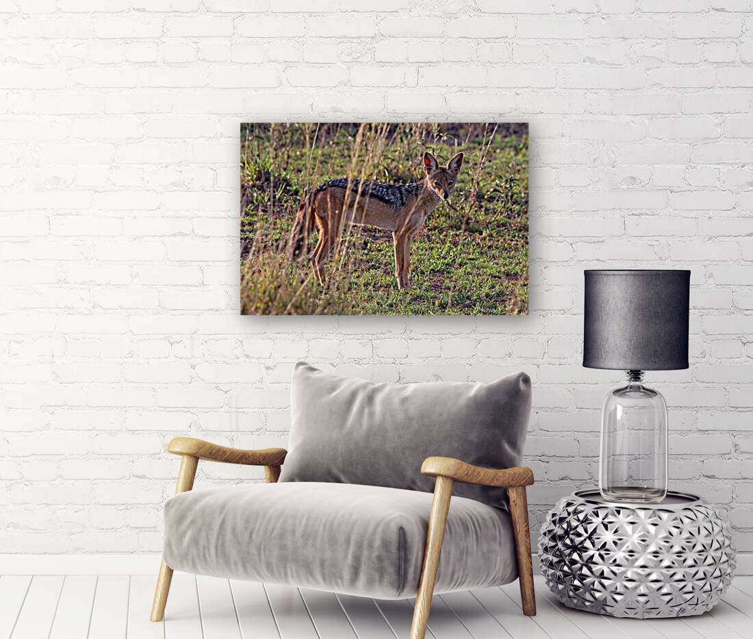 Silent Watcher of the Plains Reproduction