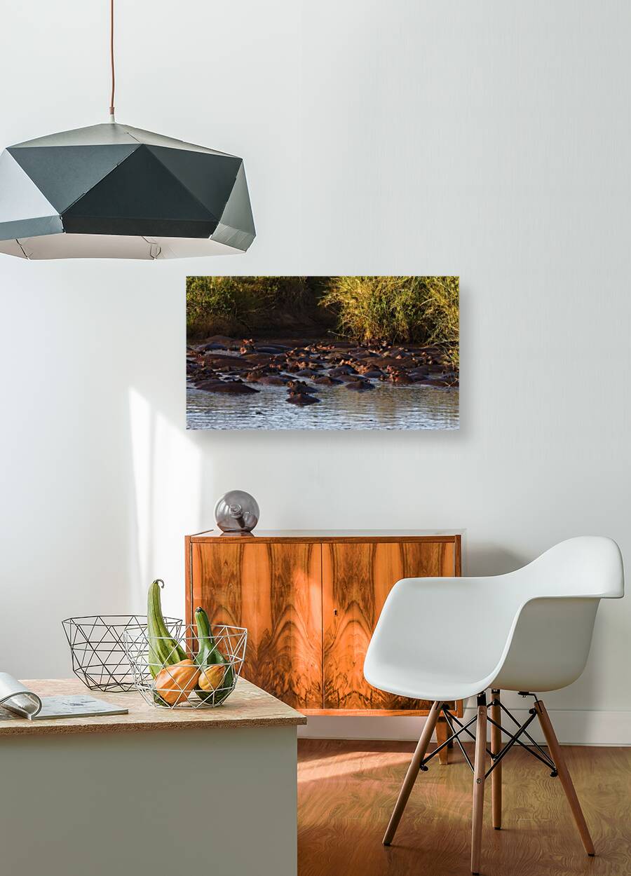 The Hippo Crowd Reproduction