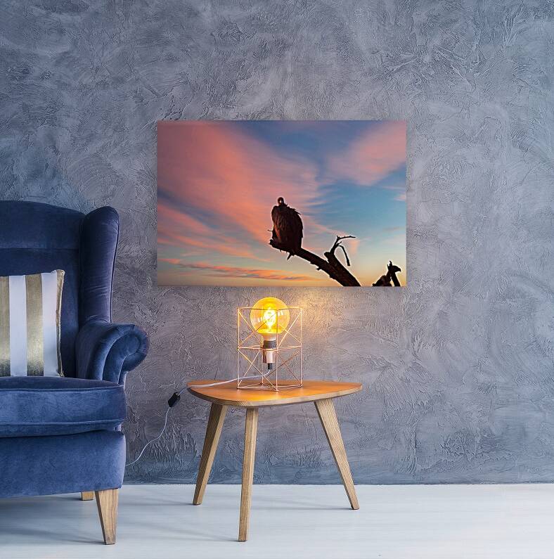 Sky Watcher Reproduction