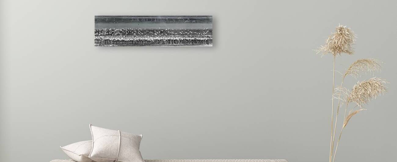 Flame of the Canopy by Chirag Pandya