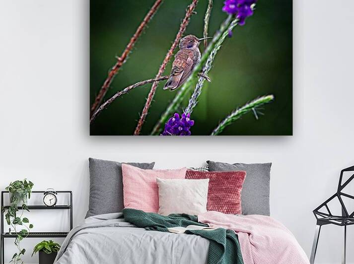 Dance of Nectar by Chirag Pandya