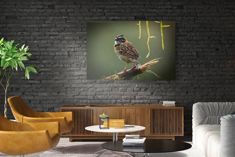 Perched in the Green Mist by Chirag Pandya