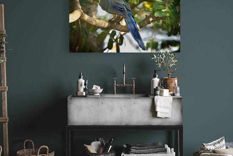 Blue-Crest Sentinel by Chirag Pandya