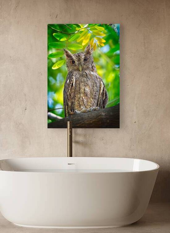 Silent Sentinel by Chirag Pandya