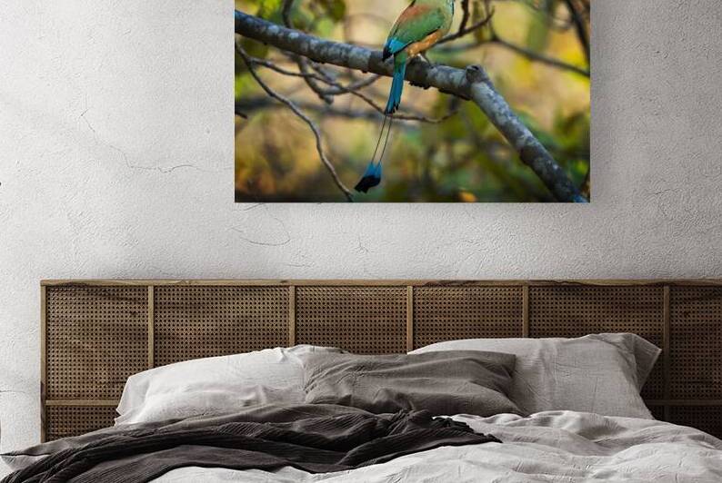 Tropical Whisper by Chirag Pandya