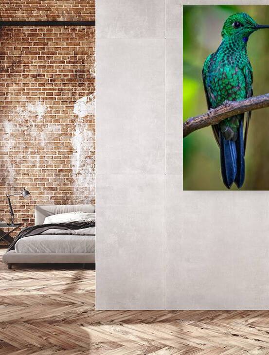 Emerald Spark by Chirag Pandya