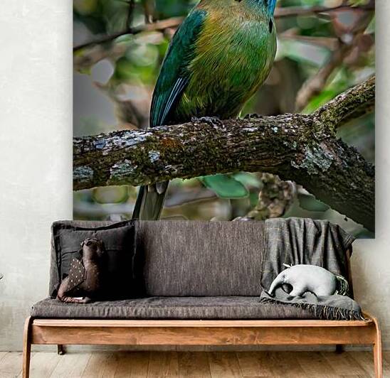 Jungle Jewel by Chirag Pandya