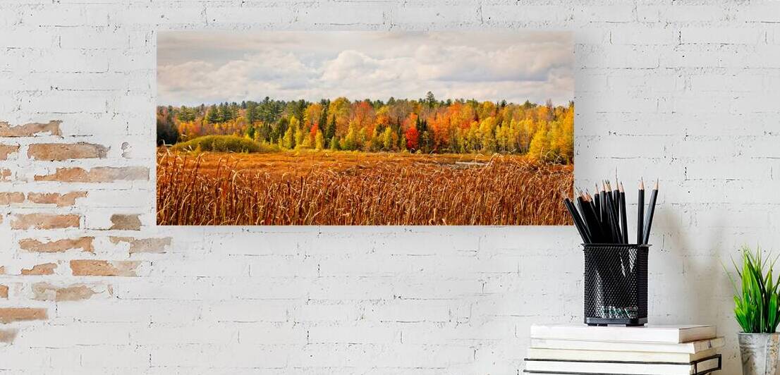 Autumn Forest Under a Starry Sky by Chirag Pandya