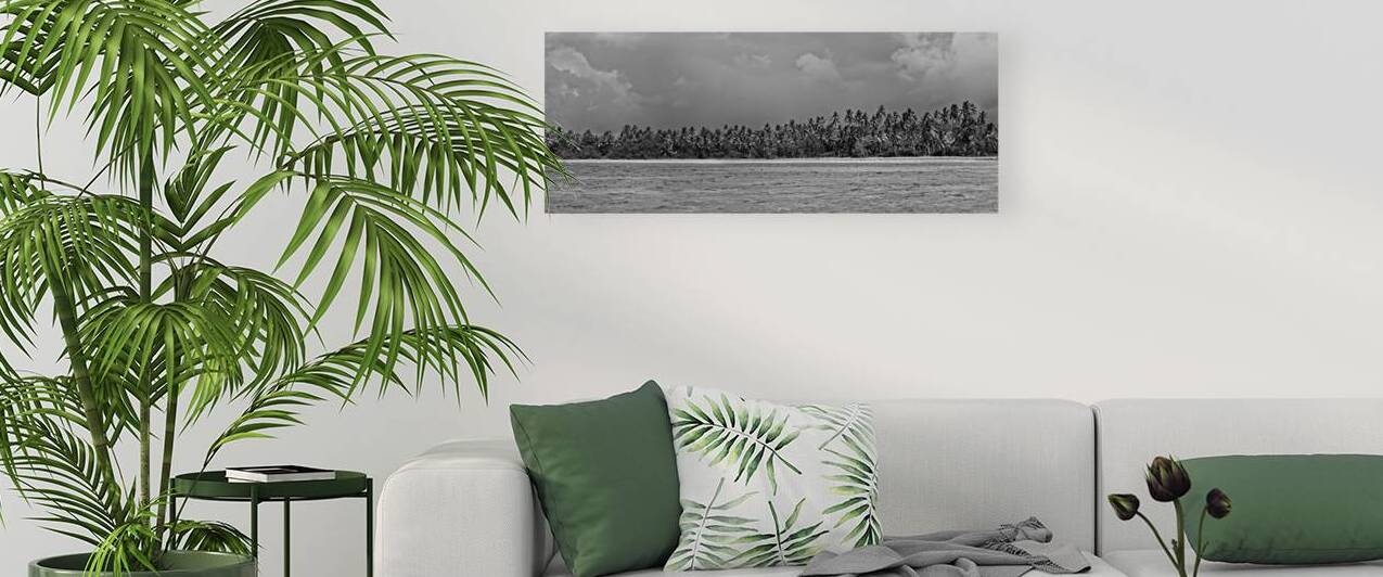 Palm Forest in Black & White by Chirag Pandya