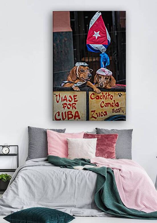 Cuban Companions by Chirag Pandya