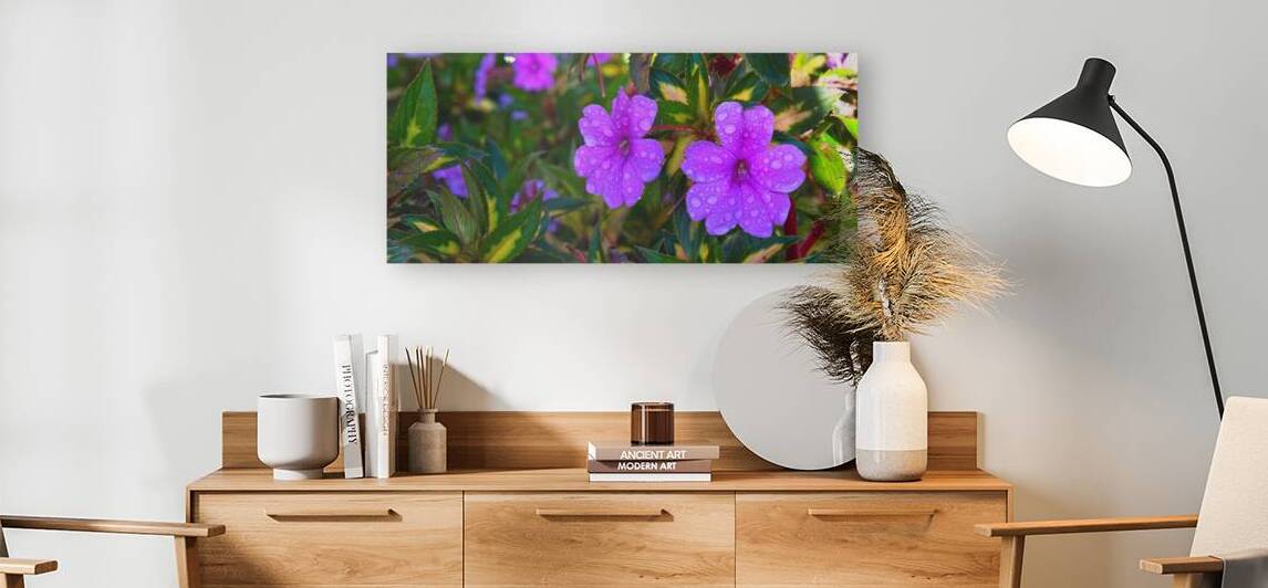 Dew-Kissed Magenta Blossoms by Chirag Pandya