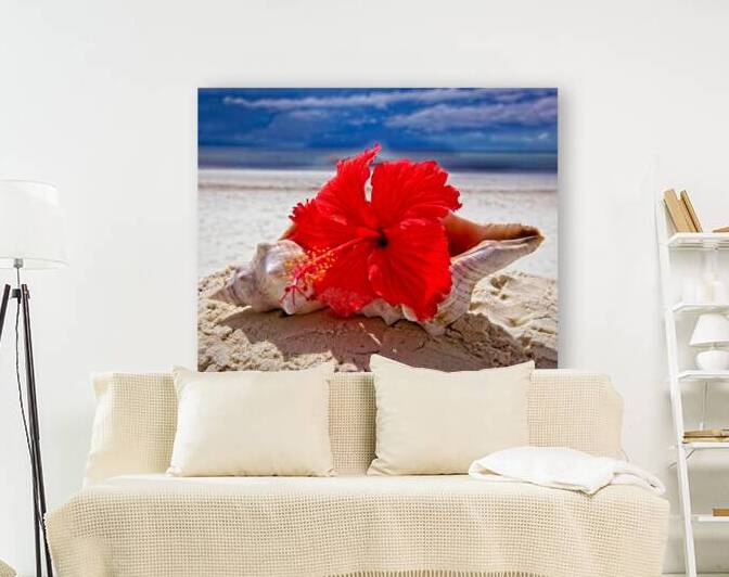 Hibiscus and Seashell Still Life by Chirag Pandya