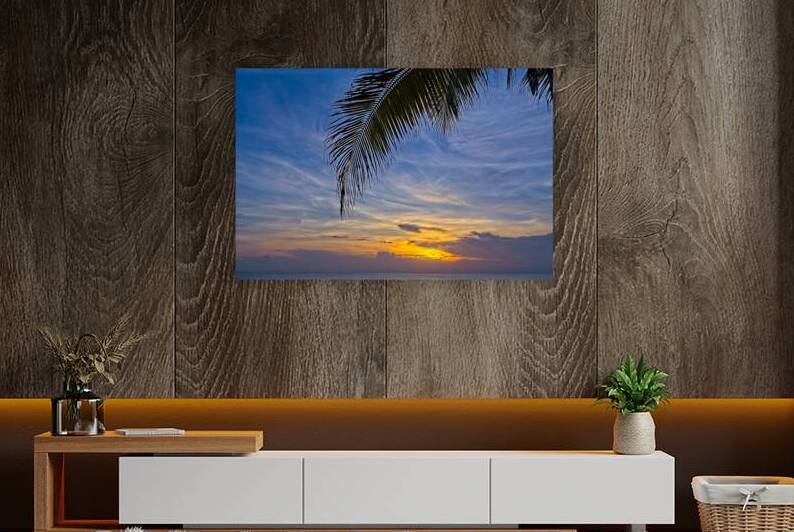 Palm-Framed Sunset by Chirag Pandya