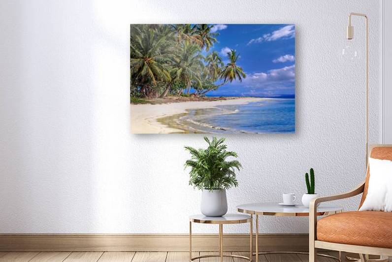 Tropical Shoreline Paradise by Chirag Pandya