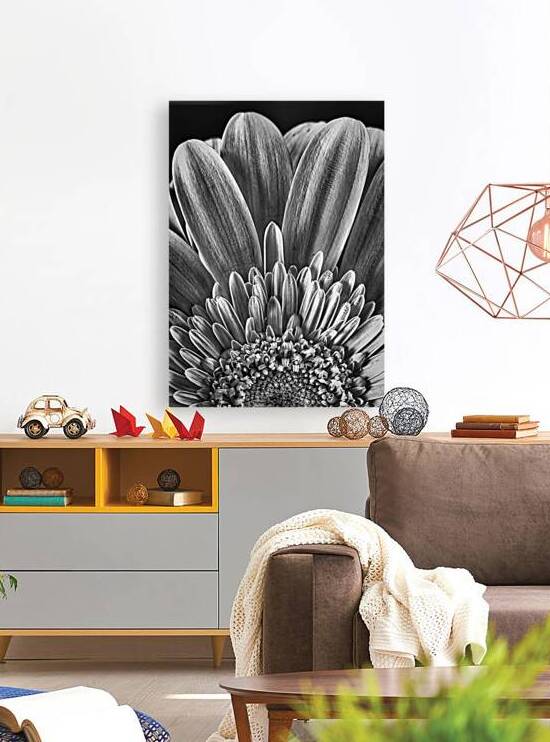 Bloom by Chirag Pandya