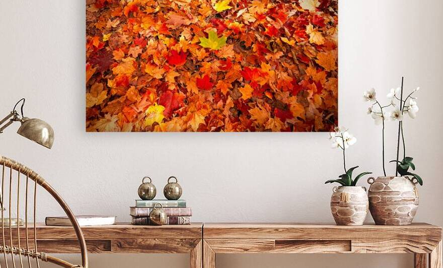 Autumn’s Golden Standout by Chirag Pandya