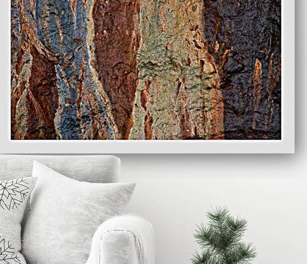 Earth’s Palette by Chirag Pandya