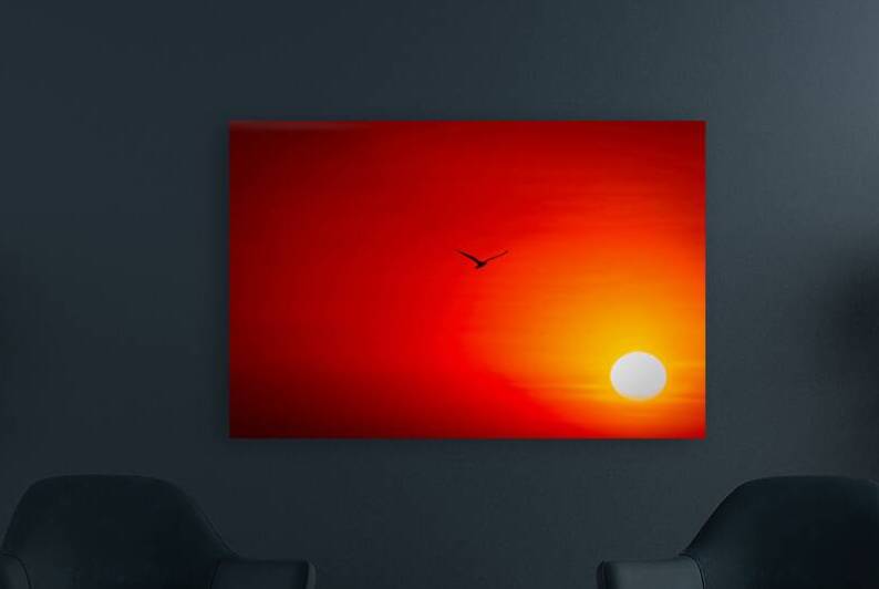 Flight Into the Fire Sky by Chirag Pandya