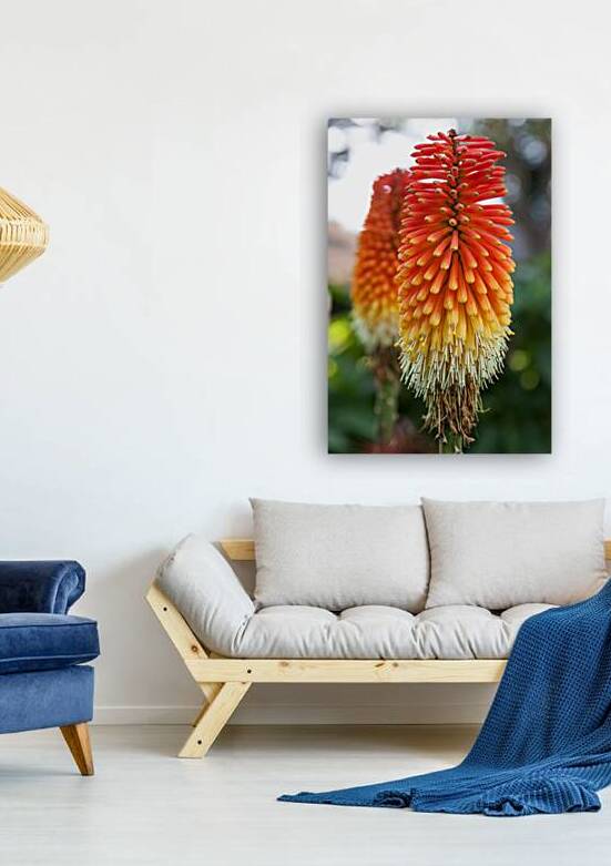 Fire Dance Bloom by Chirag Pandya