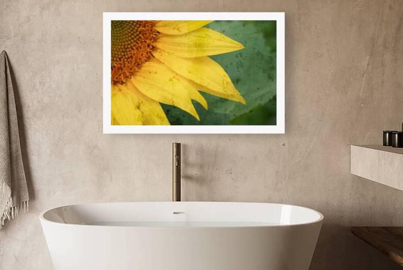 Sunflower Glow by Chirag Pandya