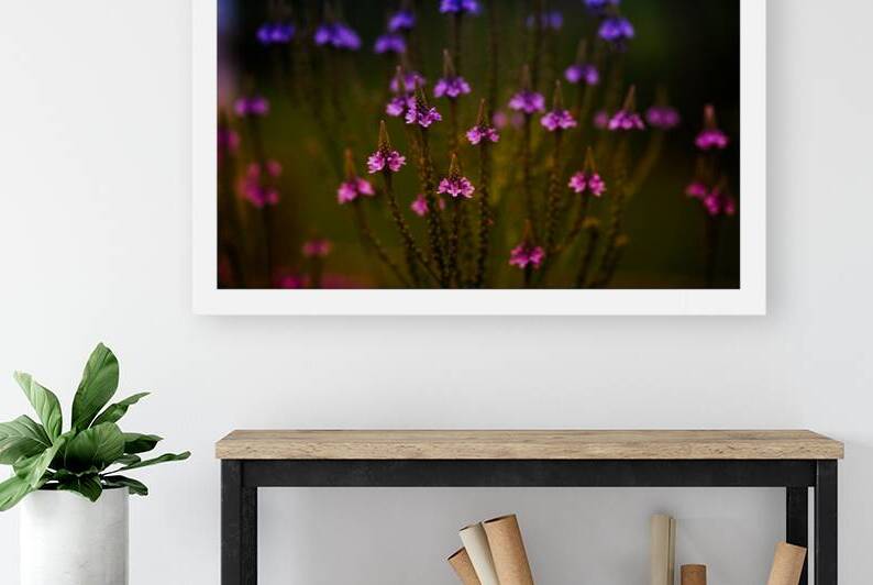 Garden Glow by Chirag Pandya