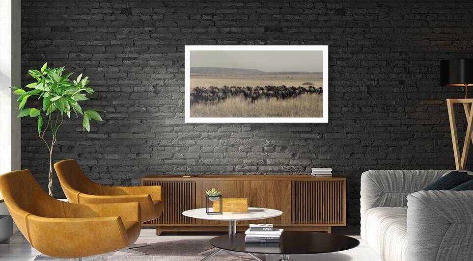 Journey of the Herd by Chirag Pandya