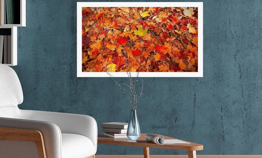 Autumn Carpet by Chirag Pandya