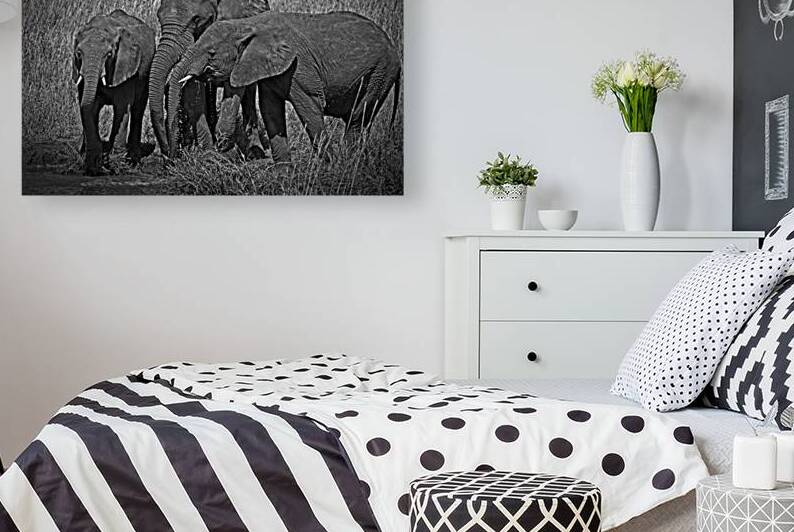 Elephants at the Waterhole by Chirag Pandya