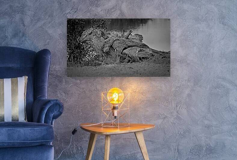 Nature’s Driftwood Sculpture by Chirag Pandya