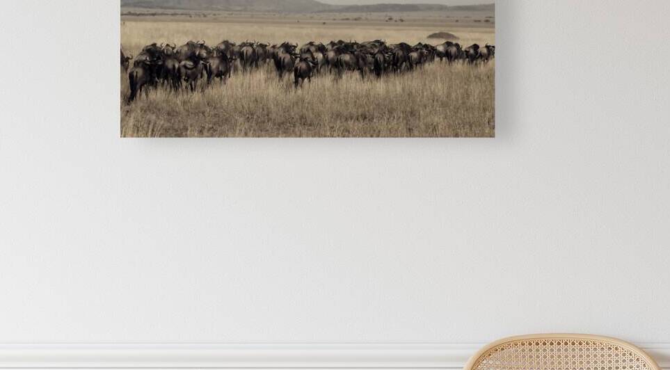 Wildebeest Migration Line by Chirag Pandya