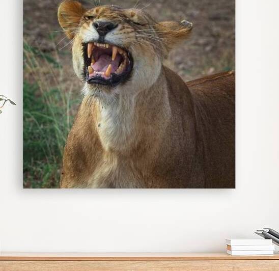 Roar of the Wild by Chirag Pandya