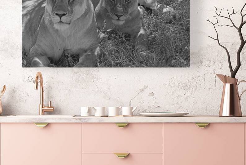 Sisters of the Savannah by Chirag Pandya