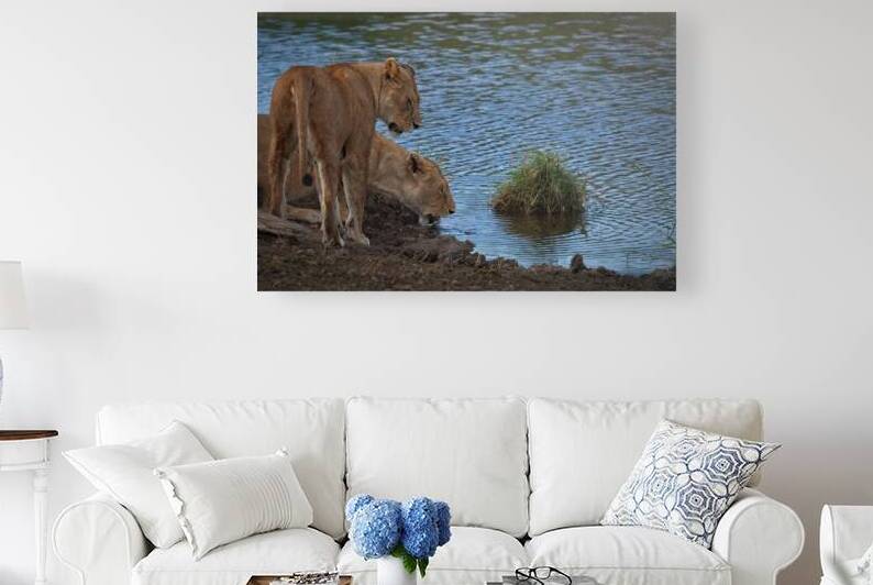 Waterfront Curiosity by Chirag Pandya