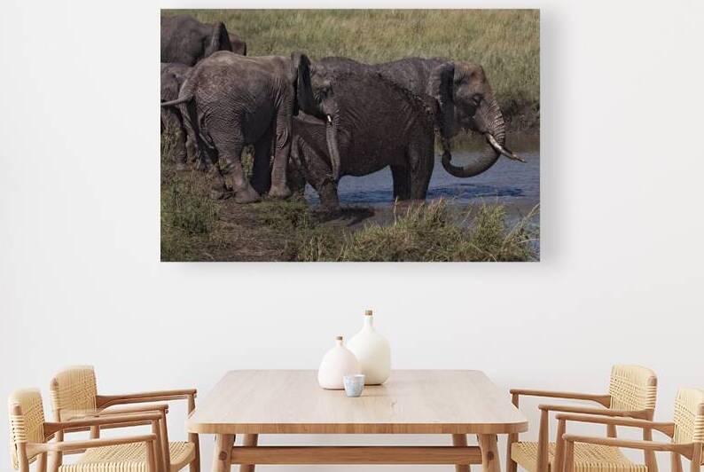 Mud Bath Joy by Chirag Pandya