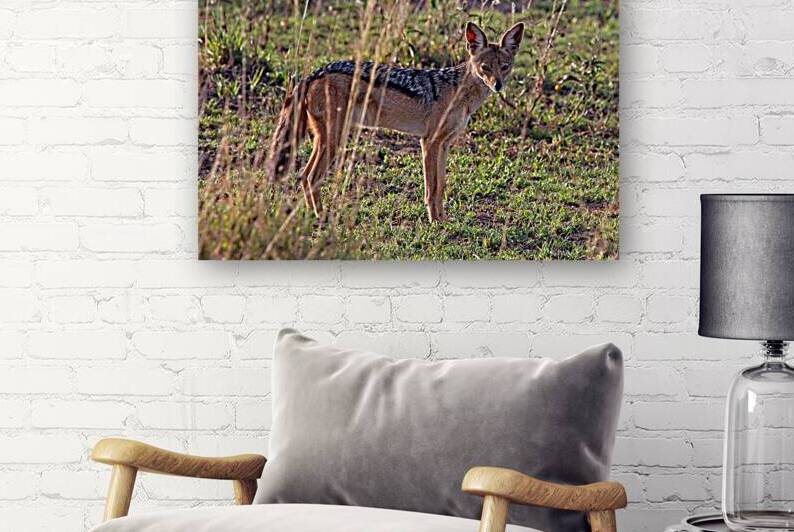 Silent Watcher of the Plains by Chirag Pandya