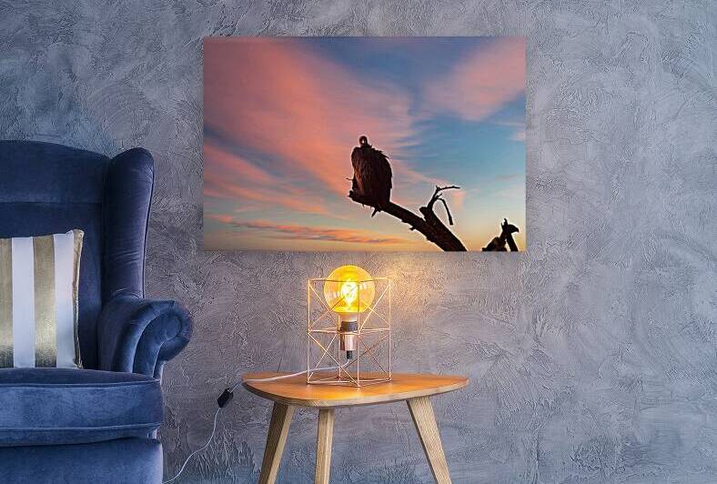 Sky Watcher by Chirag Pandya