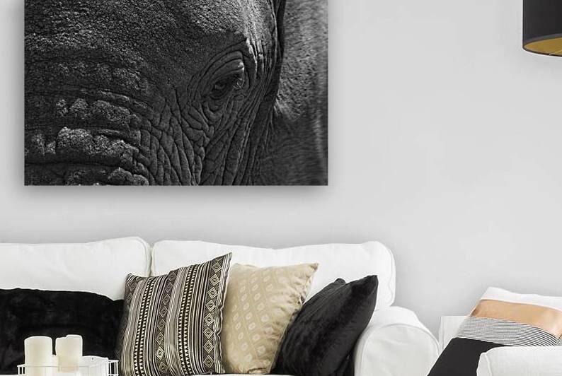 Wisdom in the Wrinkles by Chirag Pandya