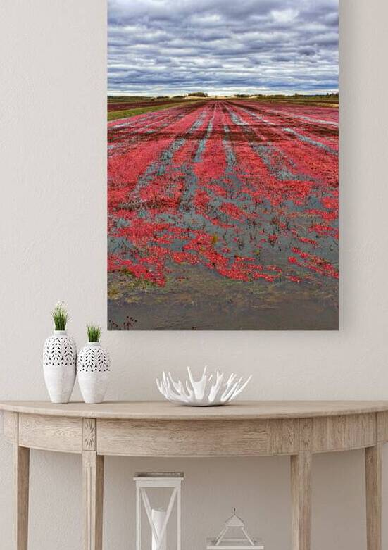 Crimson Harvest by Chirag Pandya