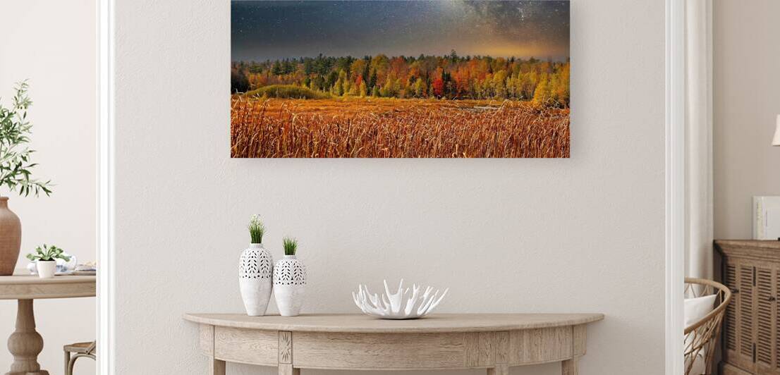 Starlit Harvest Night by Chirag Pandya