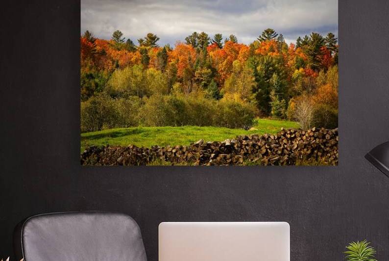 Autumn Harmony by Chirag Pandya