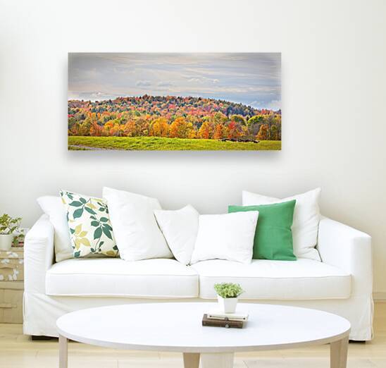  Autumn’s Quiet Meadow by Chirag Pandya