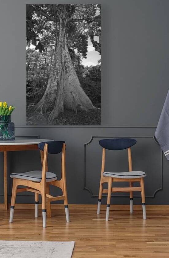 Roots of Time by Chirag Pandya