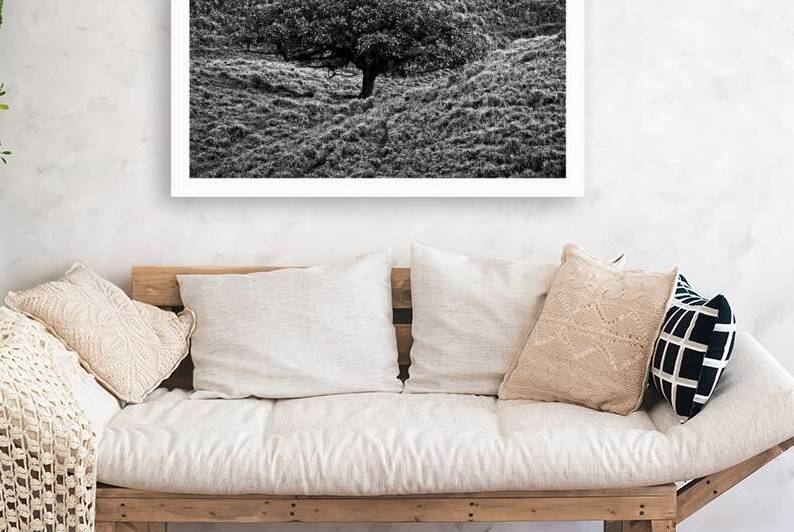 Lone Tree in the Hills by Chirag Pandya