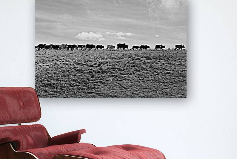 The Long Walk Home by Chirag Pandya