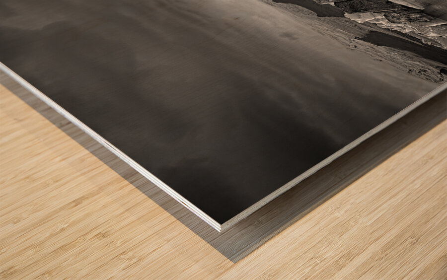 Ice Kingdom Wood print