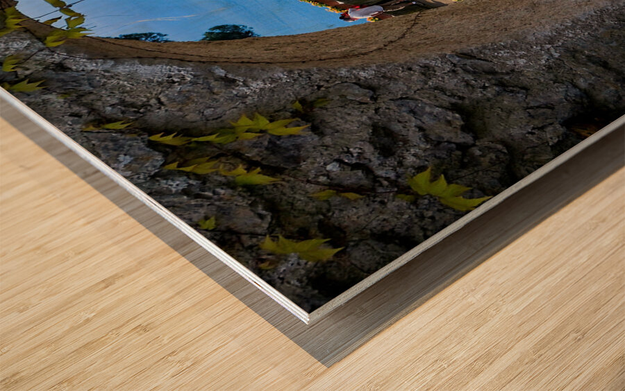 Garden Window to the Sea Wood print